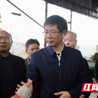 邵阳：立行立改举一反三系统推进  确保整改迅速彻底长治长效