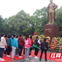 巾帼心向党  建功新时代——武冈市税务局妇女同志走进刘少奇故居参观学习