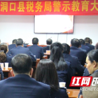 洞口税务:召开全面从严治党工作会议 明确年度六项工作任务