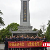 邵阳县税务：祭奠革命英烈，学习革命历史，传承红色基因