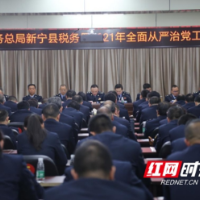 新宁县税务局召开全面从严治党工作会议暨党史学习教育推进会