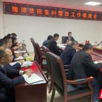 隆回法院召开查纠整改工作推进会