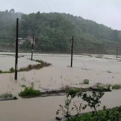 邵阳县民政局：学史力行践初心，迎战暴雨保民安