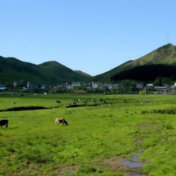 城步文艺演出进乡村  让党史学习教育更接地气