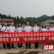 邵阳税务：学党史 走基层  乡村振兴添“青”力