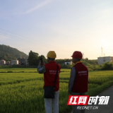 国网武冈市供电公司：党员举旗巡线忙