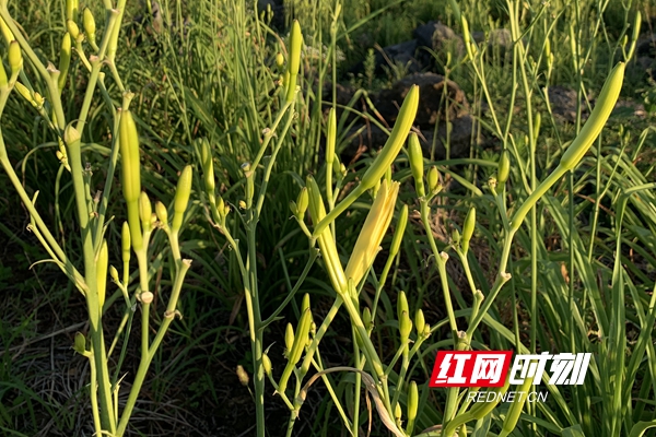 微信图片_20210718170834.jpg