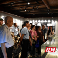 邵阳市税务局老干党总支部开展党史学习教育之《学史崇德》专题研讨