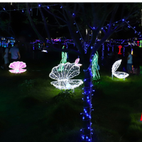 武冈市云山露营公园大型灯光艺术展震撼开幕