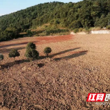 邵阳县圆满完成“洞庭清波”河湖长制问题整改任务