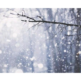 邵阳将迎来新年首场降雪