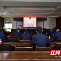武冈市税务局干部热议党的二十大报告
