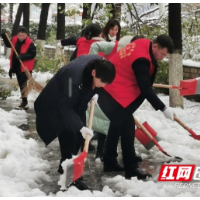 邵东税务:扫雪除冰护民安 志愿服务暖寒冬