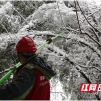 国网武冈市供电公司：暴雪除障我在前