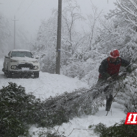 国网武冈市供电公司:清除路障获民赞