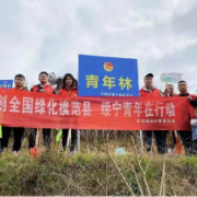 绥宁县团委组织开展义务植树活动“树”新风