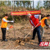 植树添绿正当时———双清区税务局开展义务植树活动