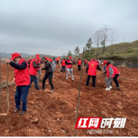 邵阳市新华书店义务植树助力美丽乡村建设