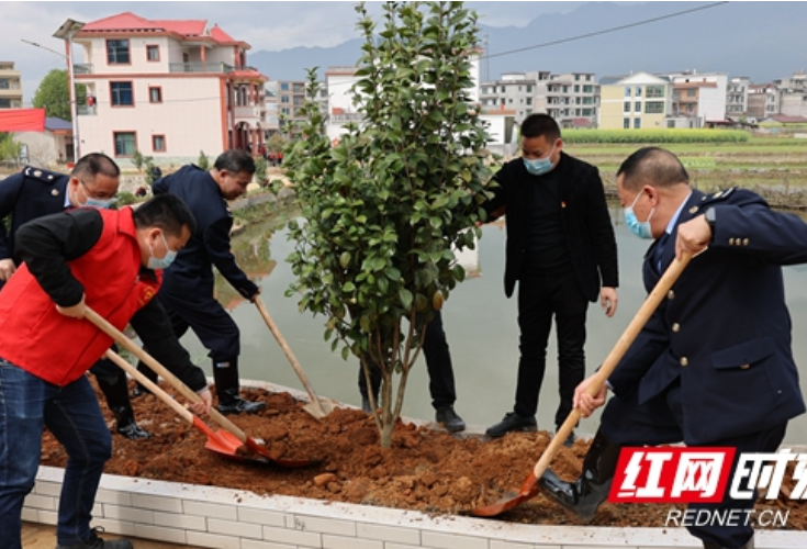 洞口税务：联村建绿增春意，乡村振兴添税情