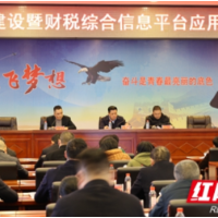 洞口县召开财源建设暨财税综合信息平台应用工作推进会