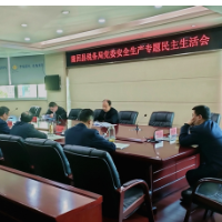 隆回县税务局党委召开安全生产专题民主生活会