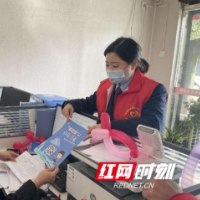 城步税务：助企纾困再加力，添柴加薪送“春风”
