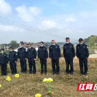 邵东公安：清明扫墓寄哀思 缅怀英烈振警心