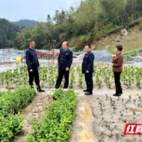 隆回税务：“党建+纳税服务” 税企联建促发展