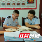 隆回税务：“党建体检”为基层“把脉会诊”