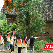 邵阳学院三下乡：调研乡村旅游业，助力乡村振兴发展