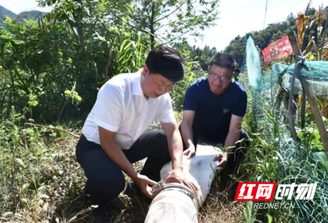 新邵：千名党员干部下沉一线抗大旱