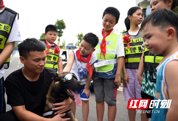 新邵：警宝探秘警营生活  零距离感受警营魅力
