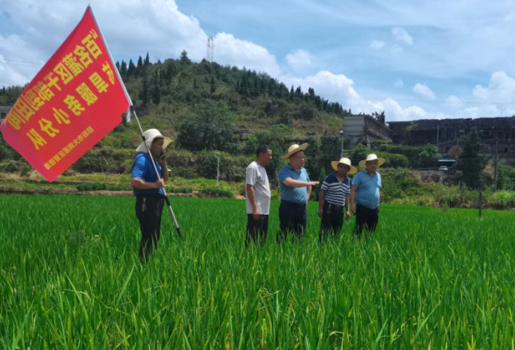 邵阳大圳灌区:做活“水文章”打好抗旱“攻坚战”