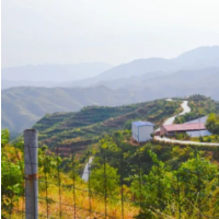 邵阳检察：巩固脱贫攻坚成果 共绘乡村振兴画卷