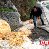 邵阳市大祥区：上下同心聚合力 齐心协力护家园