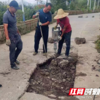 隆回税务：整修村道解民忧 疏通水渠“暖心田”