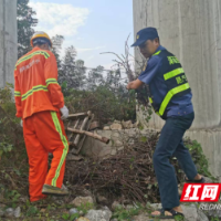 新宁：桥下空间整治再发力 路域环境再提升