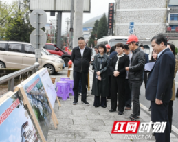 周迎春赴城步调研邵阳旅游发展大会筹备工作并开展“五大”主题实践活动