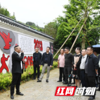 城步十八届人大会第六代表团开展调研