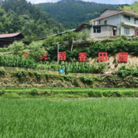 溪流婉转，治理探“微” ——湖南洞口月溪镇探索“微”治理效能大提升