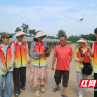 邵阳学院：乡村产业振兴，“小葡萄”带动大发展