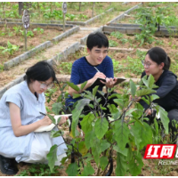 邵阳学院学生模拟政协协会对塘坪村“开心菜园”展开实地调研