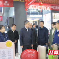 严华在市区调研消费提振工作
