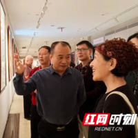 2025 年湖南省美术书法绘清廉巡展暨“笔绘莲心·廉润资江”美术书法作品展在邵阳开幕