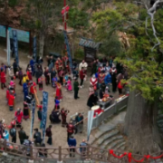 城步：守护苗乡“绿色乡愁” 奏响古树保护乐章
