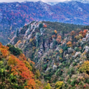 湖南舜皇山：初冬雾凇绘就彩林画卷