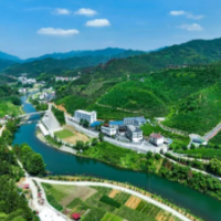 湖南洞口：茶香领跑农文旅体融合新赛道