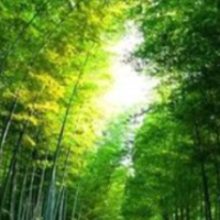 青春“税”月别样红｜绥宁税务：竹子党建领方向 强基固本增效能
