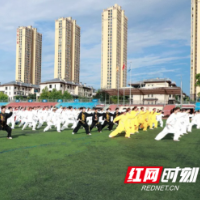 以拳会友 北塔区举办健身气功太极拳交流展演活动