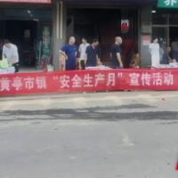 邵阳县黄亭市镇：人大牵头织安网，多力并聚助振兴